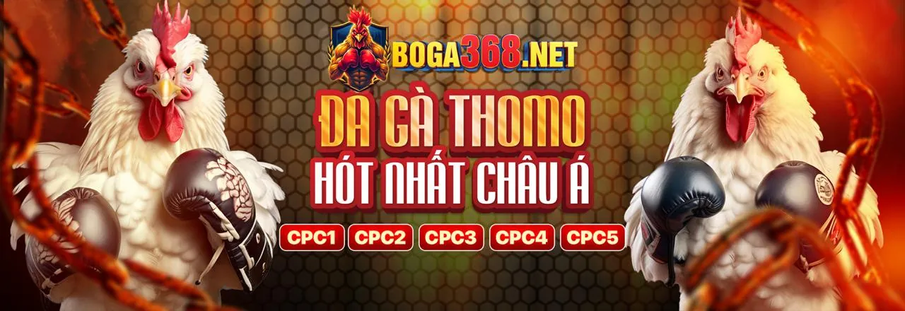 Tổng quan lợi ích khi chơi tại 02lc88